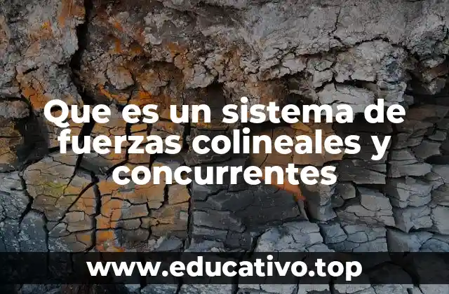 Cómo se aplican los sistemas de fuerzas en la vida real