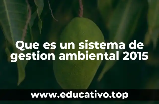 Que es un sistema de gestion ambiental 2015