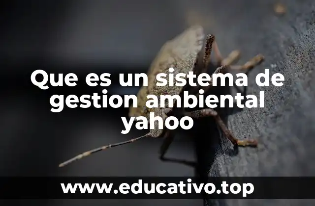 Que es un sistema de gestion ambiental yahoo