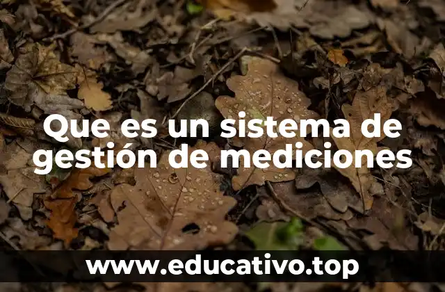 Que es un sistema de gestión de mediciones