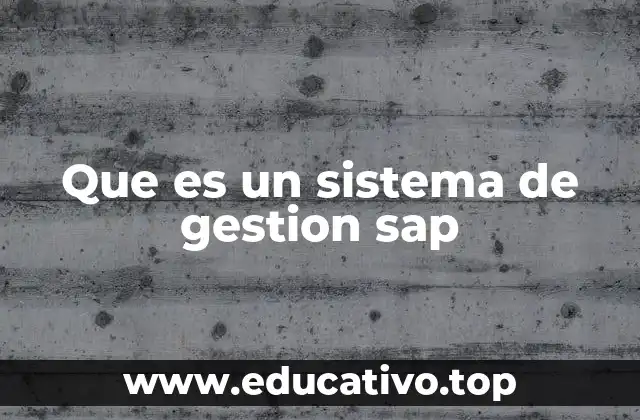 Que es un sistema de gestion sap