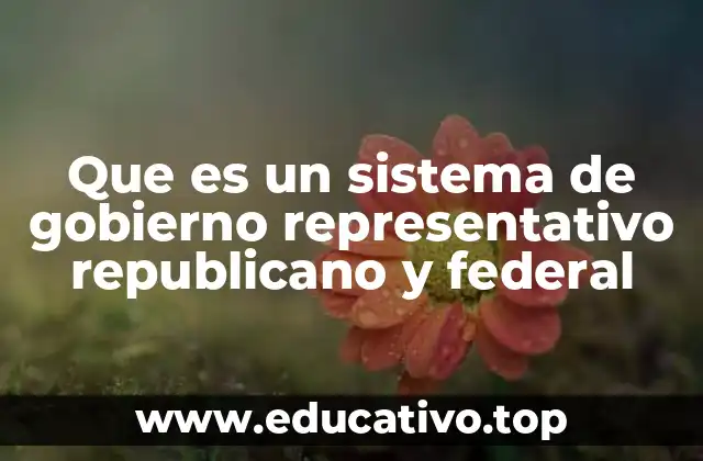 Características esenciales del sistema político moderno