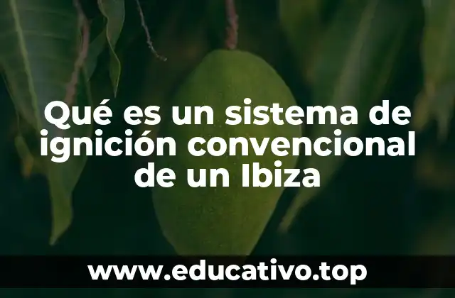 Componentes principales del sistema de ignición en el Ibiza