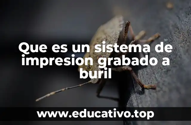 Que es un sistema de impresion grabado a buril