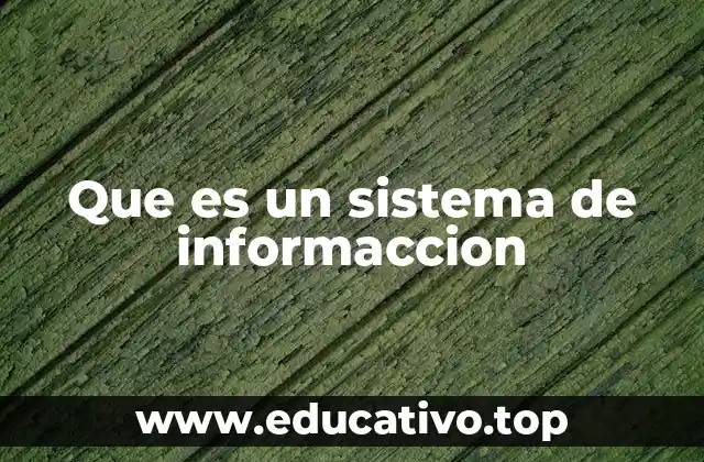 Que es un sistema de informaccion