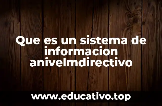 Que es un sistema de informacion anivelmdirectivo
