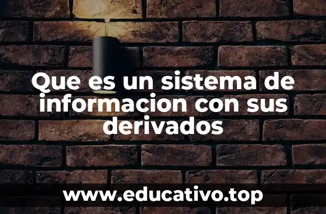 Que es un sistema de informacion con sus derivados