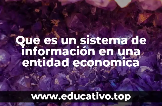 Que es un sistema de información en una entidad economica