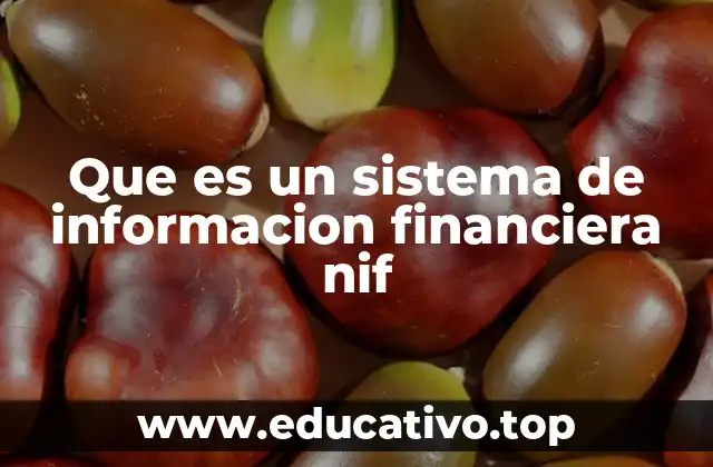 Cómo las empresas integran las NIF en sus procesos contables