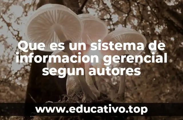 Que es un sistema de informacion gerencial segun autores