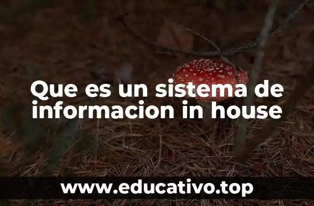 Que es un sistema de informacion in house