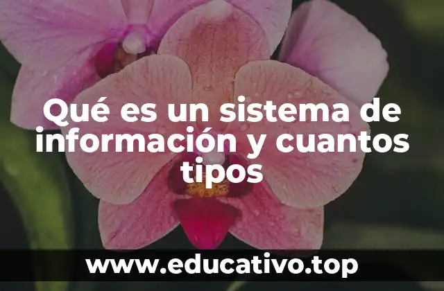 Qué es un sistema de información y cuantos tipos