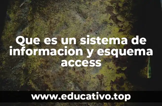 Que es un sistema de informacion y esquema access