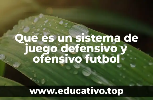 Que es un sistema de juego defensivo y ofensivo futbol