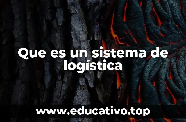 Que es un sistema de logística