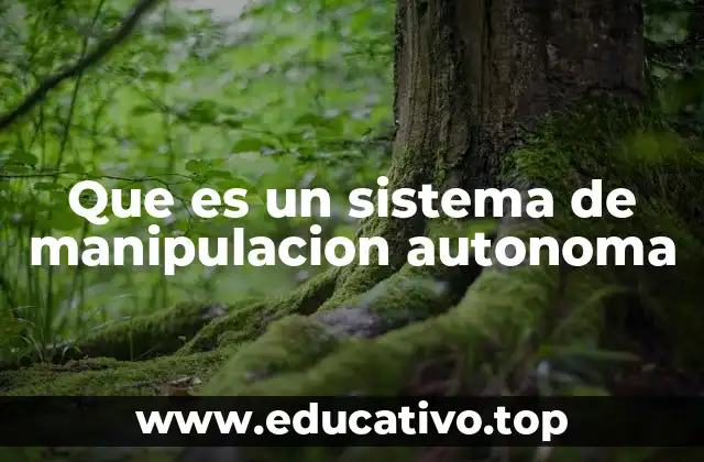 Que es un sistema de manipulacion autonoma
