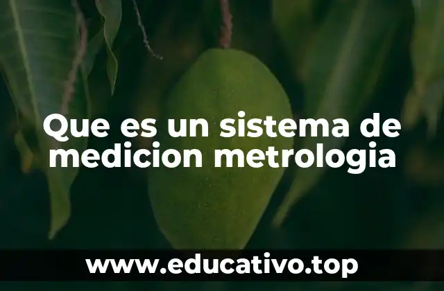 Que es un sistema de medicion metrologia