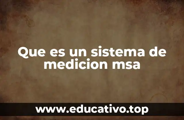 Que es un sistema de medicion msa