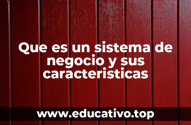 Que es un sistema de negocio y sus caracteristicas
