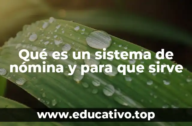 Qué es un sistema de nómina y para que sirve