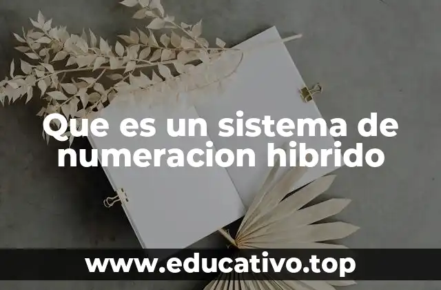 Que es un sistema de numeracion hibrido