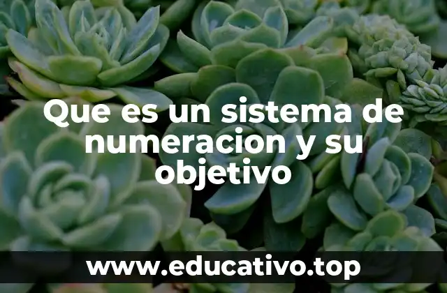 Que es un sistema de numeracion y su objetivo