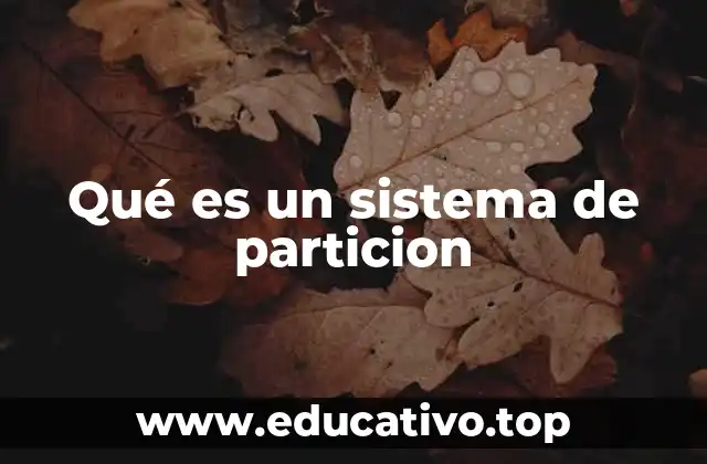 Qué es un sistema de particion