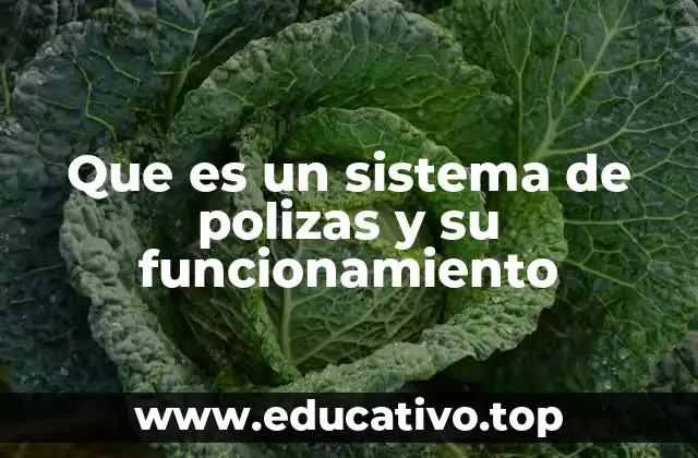 Que es un sistema de polizas y su funcionamiento