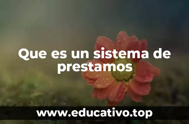 Que es un sistema de prestamos