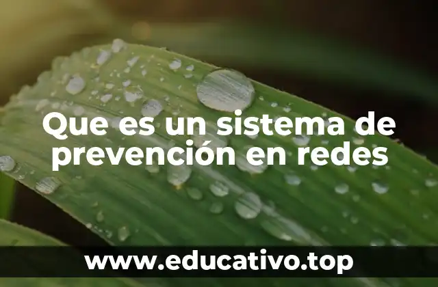 Que es un sistema de prevención en redes