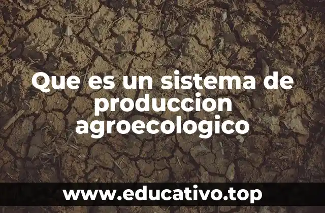 Que es un sistema de produccion agroecologico