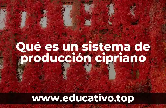 Qué es un sistema de producción cipriano