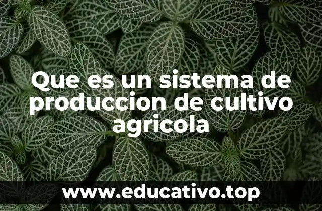 Que es un sistema de produccion de cultivo agricola