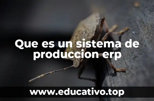 Que es un sistema de produccion erp