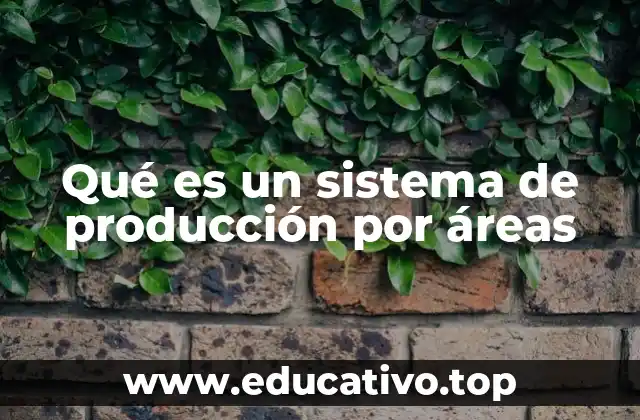 Qué es un sistema de producción por áreas