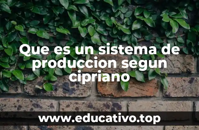 Que es un sistema de produccion segun cipriano