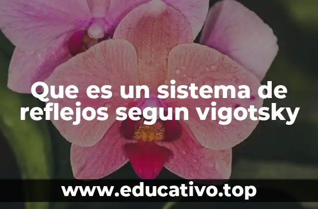 Que es un sistema de reflejos segun vigotsky