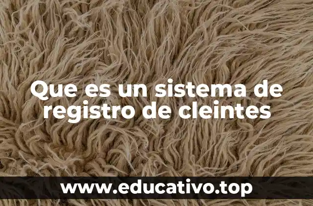 Que es un sistema de registro de cleintes