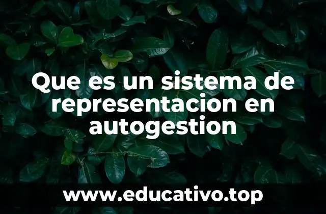 Que es un sistema de representacion en autogestion