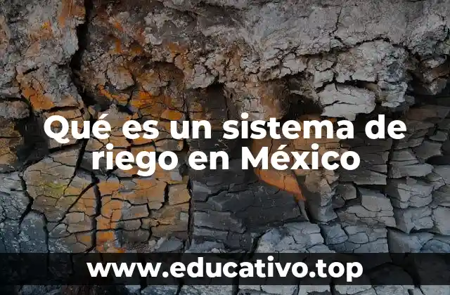 Qué es un sistema de riego en México
