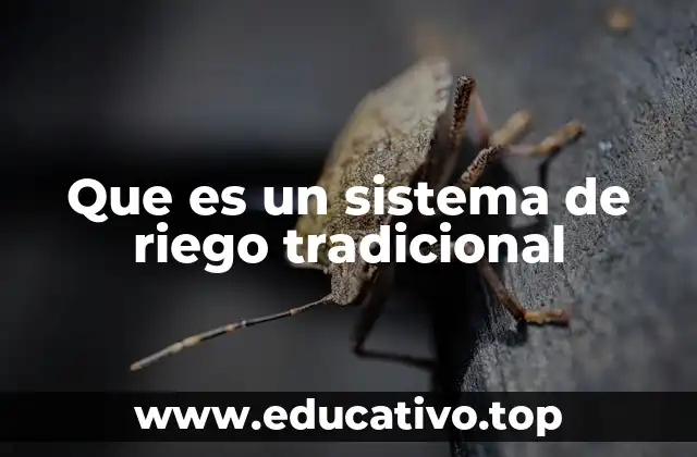 Que es un sistema de riego tradicional