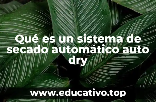 Qué es un sistema de secado automático auto dry