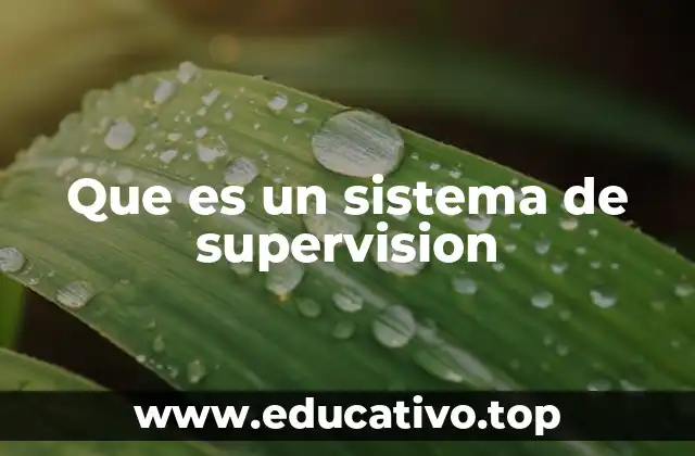 Que es un sistema de supervision