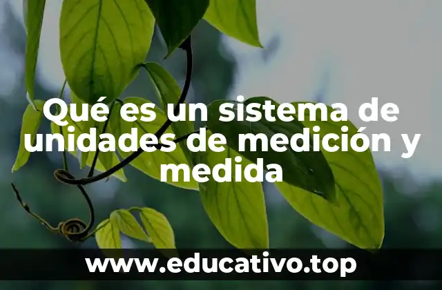 Qué es un sistema de unidades de medición y medida