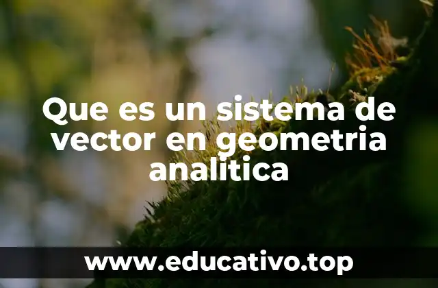 Que es un sistema de vector en geometria analitica