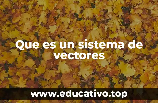 Que es un sistema de vectores