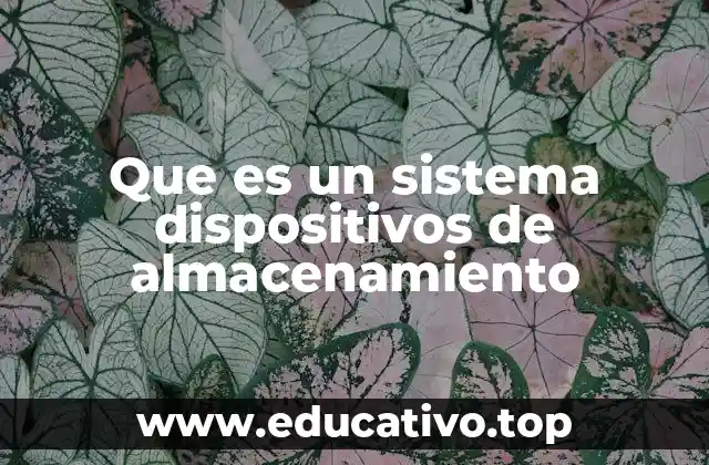 Que es un sistema dispositivos de almacenamiento
