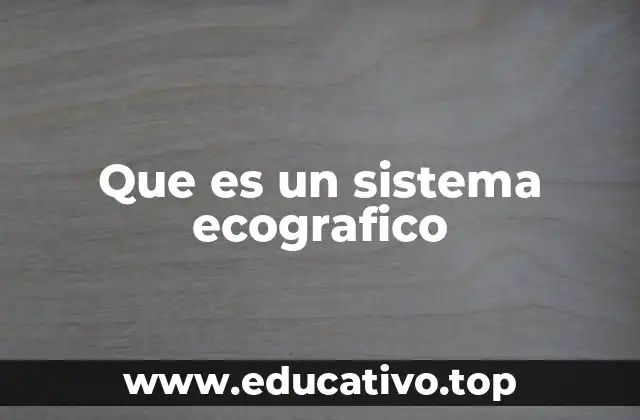Que es un sistema ecografico