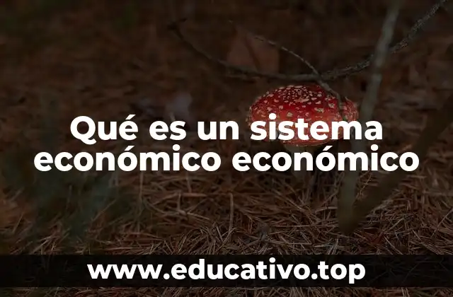 Qué es un sistema económico económico
