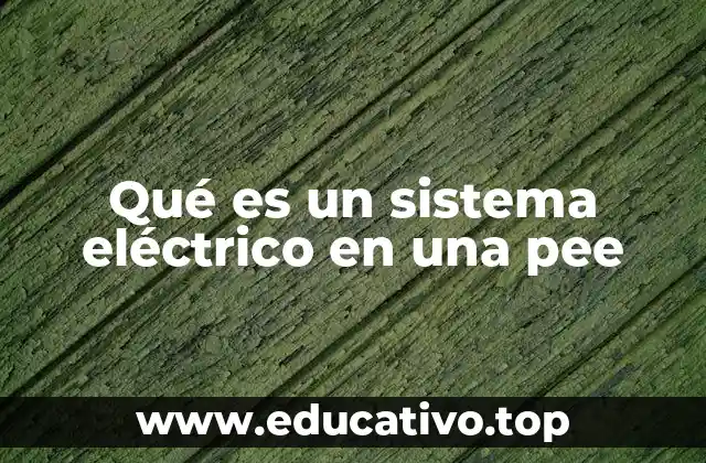 Qué es un sistema eléctrico en una pee